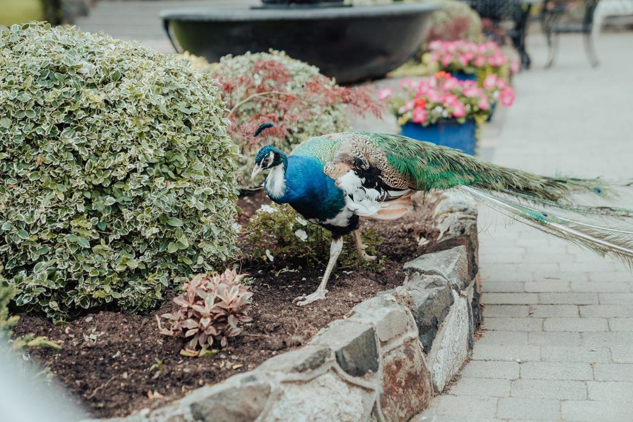 Dunadry Hotel And Gardens Antrim Exterior photo